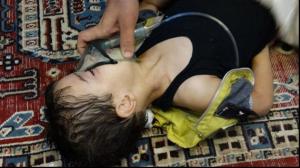 It is now an established fact that chemical weapons have been used this month in the Syrian conflict; but just who used them? It is the Assad regime, or did armed groups with the Free Syrian Army do it? Hopefully, the report of the UN investigation mission that was sent in to investigate will yield the much-awaited answer to this question. (C) UPI