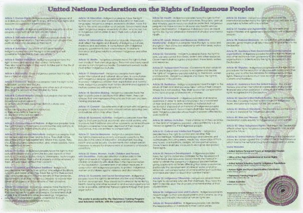 The United Nations Declaration on the Rights of Indigenous Peoples, a document that was long awaited by indigenous peoples and their defenders throughout the world.