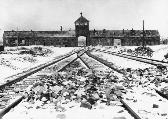 The genocide of the Jewish people in Europe during World War II, carried out in such infamous places as the Auschwitz concentration camp pictured above, was the leading cause for the drafting and adoption of the UN Genocide Convention. The following day, the UN General Assembly also adopted the Universal Declaration of Human Rights.