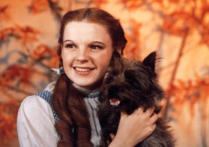 dorothy-toto